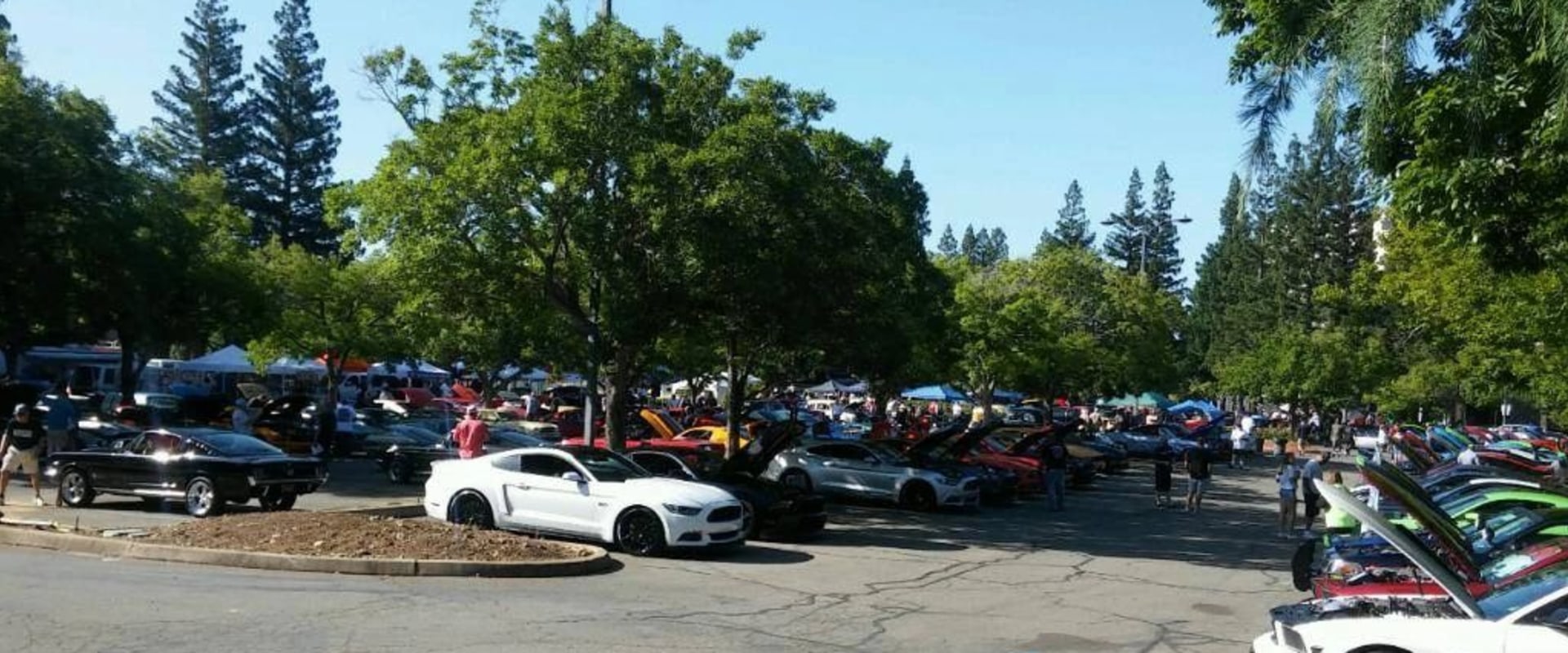 Mustang Car Club Events and Activities