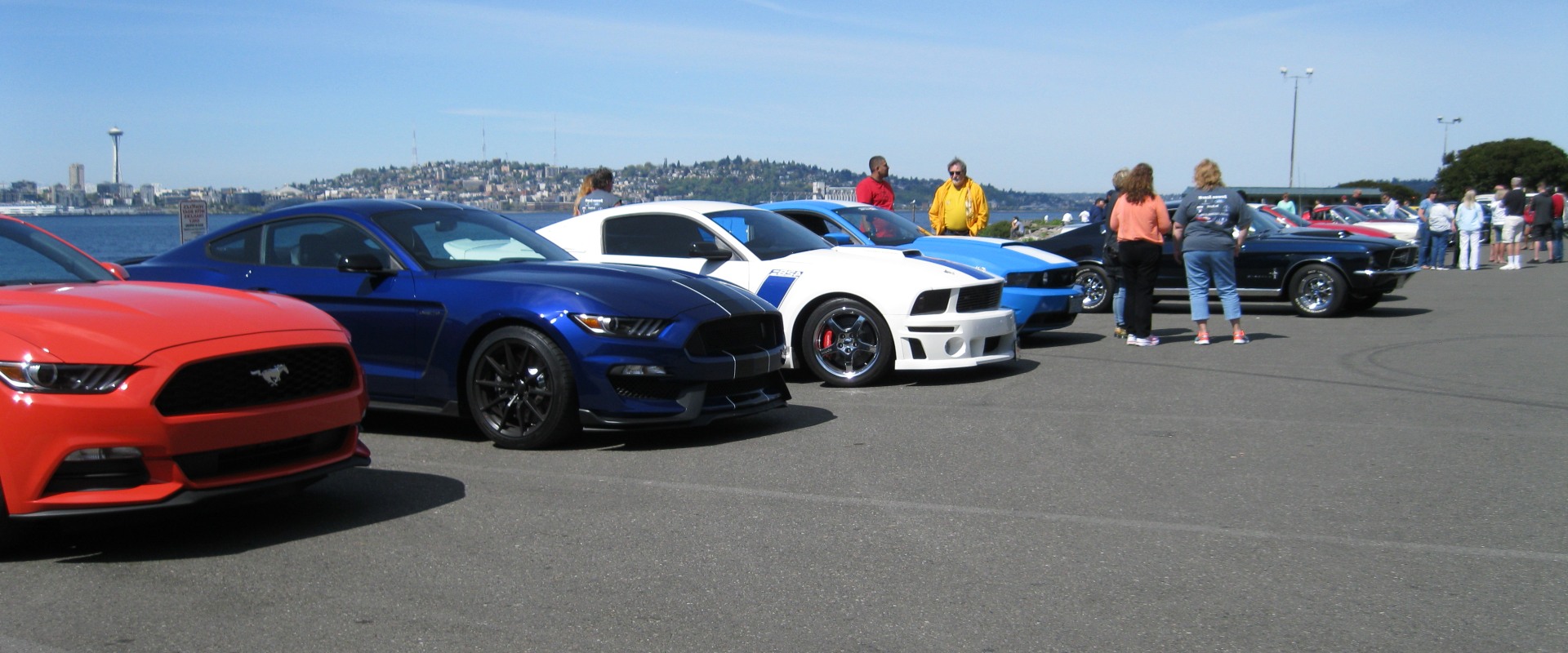 Mustang Car Clubs: Events and Activities